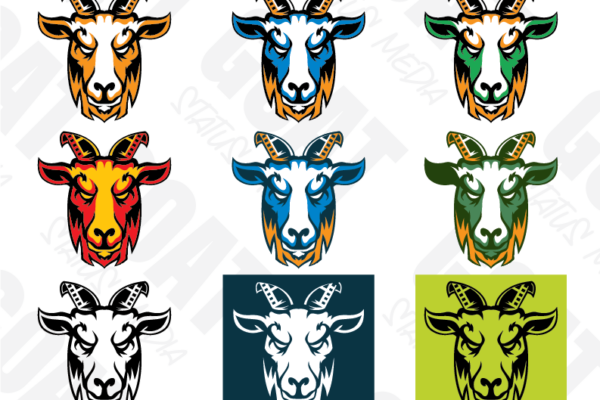 GSM Color Journey
